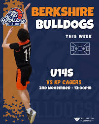 Image result for Berkshire Kings and Queens Basketball Club