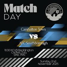 Image result for Southborough Cricket Club