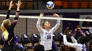 Image result for Sutton Volleyball Club