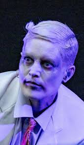 Image result for Karin Dreijer Andersson