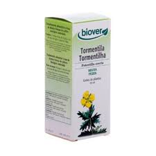 Image result for Potentilla tormentilla