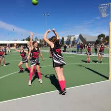 Image result for Alfa Netball Club