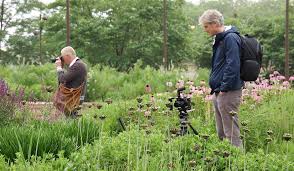Image result for Piet Oudolf