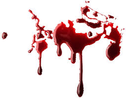 http://t0.gstatic.com/images?q=tbn:ANd9GcSX1mha0lAgv7xGAxa5Cr3Ke05KLxIXTicS8b6CFY3l6cAVigg&t=1&usg=__lvzRDunwvwqCSKuzW8AajKGgCvw=
