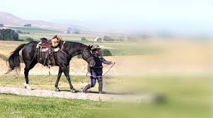 Image result for Woodhill Riding Club