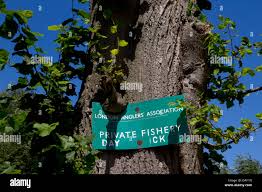 Image result for Trimpley Anglers Association