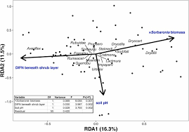 Attēlu rezultāti vaicājumam “x Sorbaronia fallax”