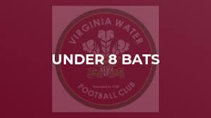Image result for Virginia Water Football Club