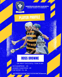 Image result for Sarsfields Hurling Club