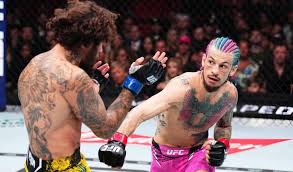 Image result for მერაბი