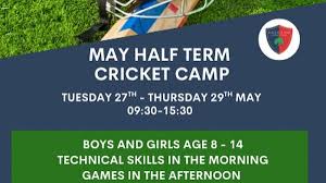 Image result for Horsley & Send Cricket Club