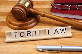 Image result for tort