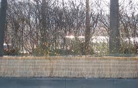 Image result for 붶