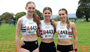 Image result for Lincoln Wellington Ac