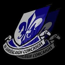 Image result for Sarsfields Hurling Club