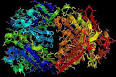 Trastuzumab - Wikipedia, the free encyclopedia