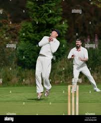Image result for Hazelgrove Cricket Club