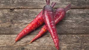 Attēlu rezultāti vaicājumam “Daucus sativus”