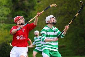 Image result for Skye Camanachd