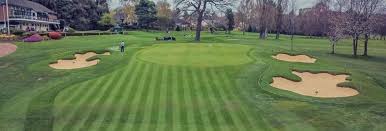 Image result for Walmley Cricket Club