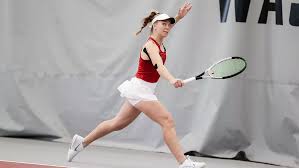 Image result for V-Tennis