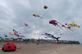 Image result for Kite Ireland