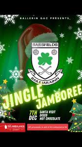 Image result for Ballerin Gaelic Athletic Club