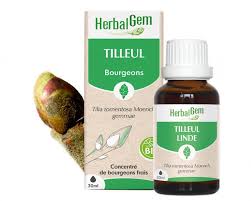 Attēlu rezultāti vaicājumam “Tilia tomentosa”