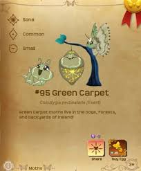 Attēlu rezultāti vaicājumam “Colostygia pectinataria male”