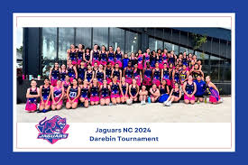 Image result for Ecs Predators Netball Club