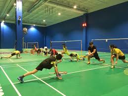 Image result for Reigate Badminton Club
