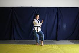 Image result for Aj Independent Martial Arts