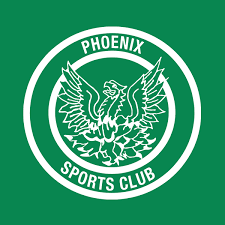 Image result for Woking Phoenix Football Club