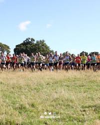 Image result for Tunbridge Wells Harriers