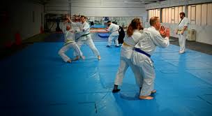 Image result for West Midlands Aikido Association Dojo