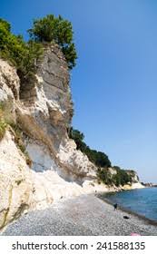 Image result for stevns klint