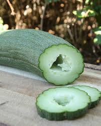 Image result for Gurke