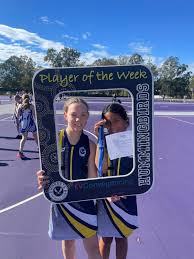 Image result for Hornets Netball Club