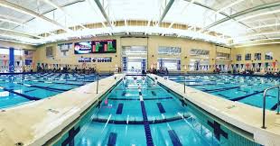 Image result for Ilkeston Swimming Club