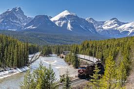 Résultat de recherche d'images pour "morant's curve"