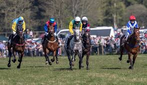 Image result for Fife Riding Club