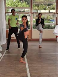 Image result for HEIWA SHOTOKAN KARATE CLUB