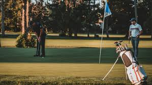 Image result for East Flegg Riding Club