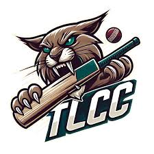 Image result for Lyne Cricket Club