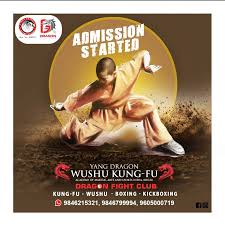 Image result for Dragon Wushu Club