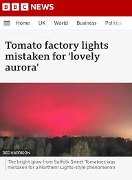 Afbeeldingsresultaat voor northern lights tomato