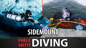 Image result for Southdown Divers