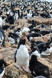 2009/03/post-c2ad.html에 대한 이미지 검색결과