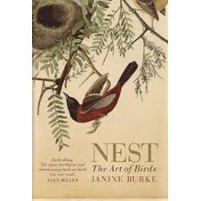 Attēlu rezultāti vaicājumam “Buteo buteo nest”