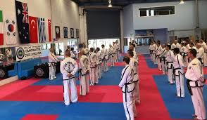 Image result for I T F Taekwondo (Andover)